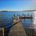 Perla Jezioraka - Caloroczny 100m Z Linia Brzegowa, Bania Z Jacuzzi I Pomostem Lägenhet *