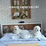 Apartamento Perla Jezioraka - Caloroczny 100m Z Linia Brzegowa, Bania Z Jacuzzi I Pomostem Siemiany