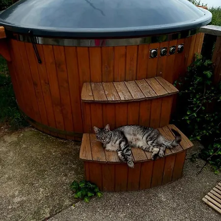 Perła Jezioraka - Całoroczny 100m Z Linią Brzegową, Banią Z Jacuzzi I Pomostem