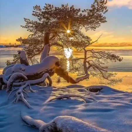 Perła Jezioraka - Całoroczny 100m Z Linią Brzegową, Banią Z Jacuzzi I Pomostem Apartament Siemiany