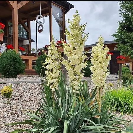 Perła Jezioraka - Całoroczny 100m Z Linią Brzegową, Banią Z Jacuzzi I Pomostem Apartament