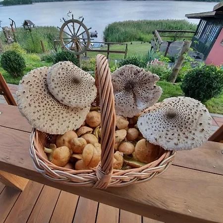 Apartament Perła Jezioraka - Całoroczny 100m Z Linią Brzegową, Banią Z Jacuzzi I Pomostem Siemiany