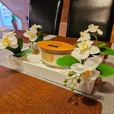 Perla Jezioraka - Caloroczny 100m Z Linia Brzegowa, Bania Z Jacuzzi I Pomostem Apartment *