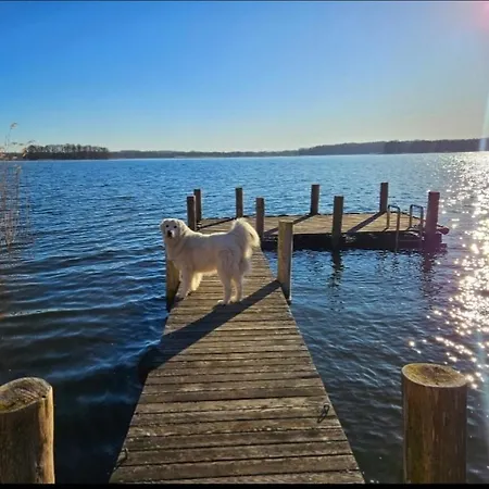 Perła Jezioraka - Całoroczny 100m Z Linią Brzegową, Banią Z Jacuzzi I Pomostem Apartament *