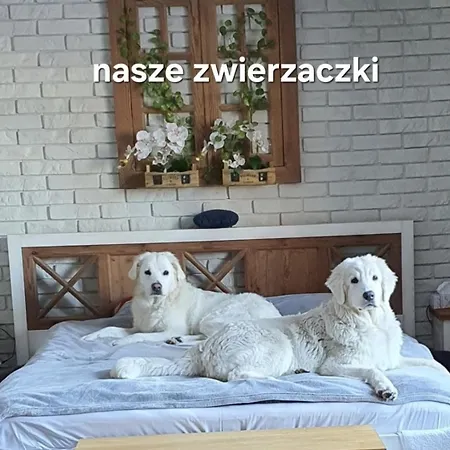 Apartament Perła Jezioraka - Całoroczny 100m Z Linią Brzegową, Banią Z Jacuzzi I Pomostem Siemiany