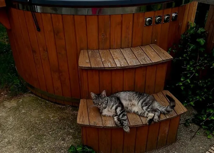 Perla Jezioraka - Caloroczny 100m Z Linia Brzegowa, Bania Z Jacuzzi I Pomostem