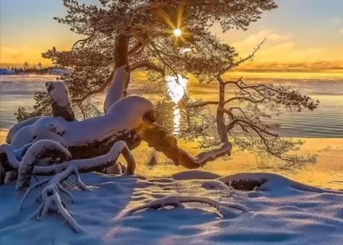 Perla Jezioraka - Caloroczny 100m Z Linia Brzegowa, Bania Z Jacuzzi I Pomostem Apartment Siemiany