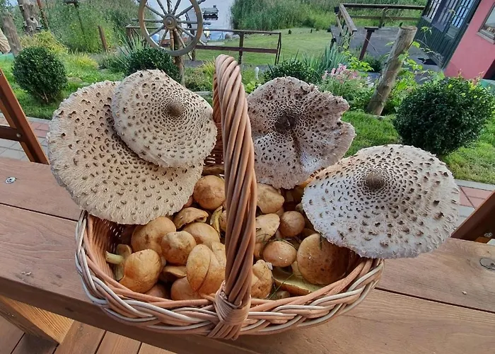 Apartment Perla Jezioraka - Caloroczny 100m Z Linia Brzegowa, Bania Z Jacuzzi I Pomostem Siemiany