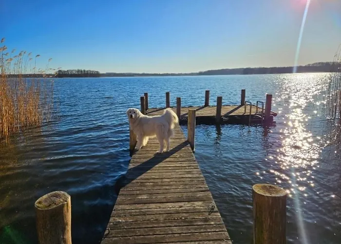 Perla Jezioraka - Caloroczny 100m Z Linia Brzegowa, Bania Z Jacuzzi I Pomostem Apartment *