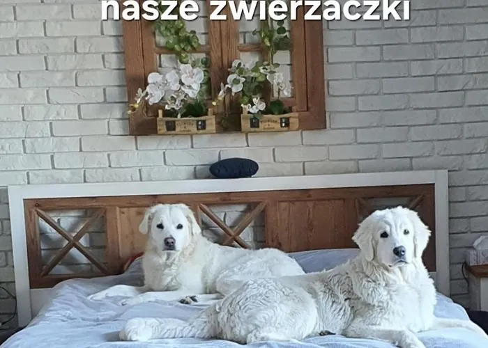 Apartment Perla Jezioraka - Caloroczny 100m Z Linia Brzegowa, Bania Z Jacuzzi I Pomostem Siemiany